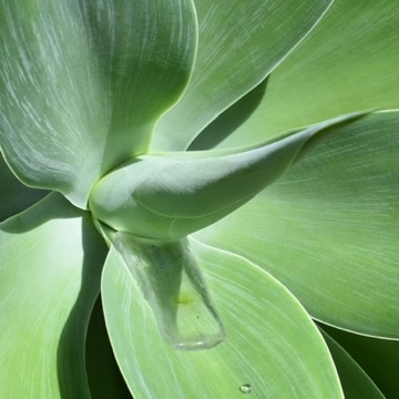 新年あけましておめでとうございます